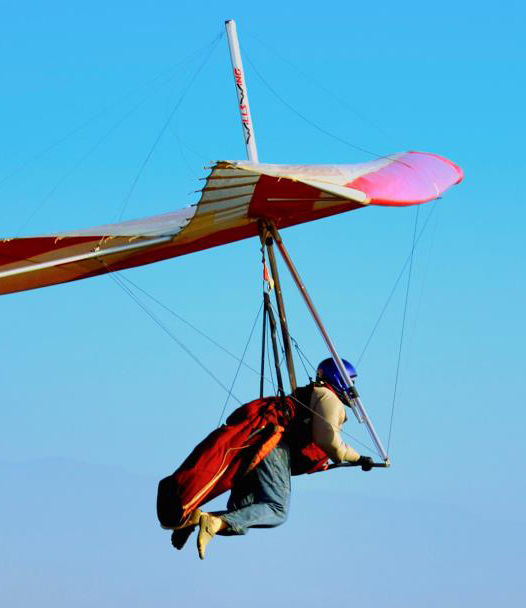 Alvaro Esteban Herrera's headshot
